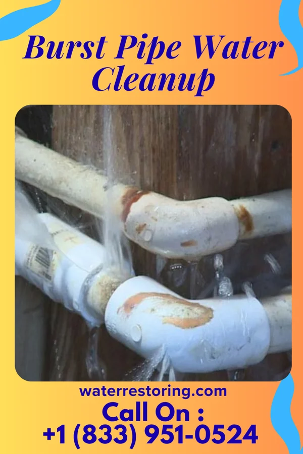 Burst Pipe Water Cleanup in Monroe Manor, NJ