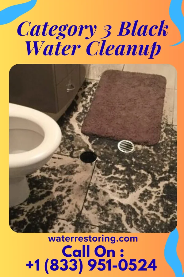 Category 3 Black Water Cleanup in Monroe Manor, NJ