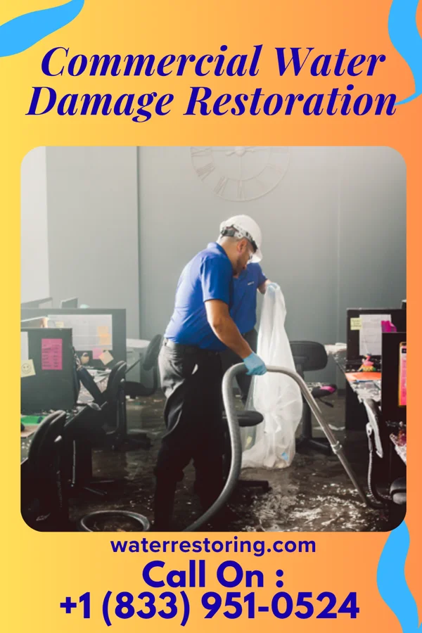 Commercial Water Damage Restoration in Monroe Manor, NJ
