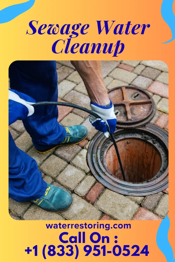 Sewage Water Cleanup in Monroe Manor, NJ
